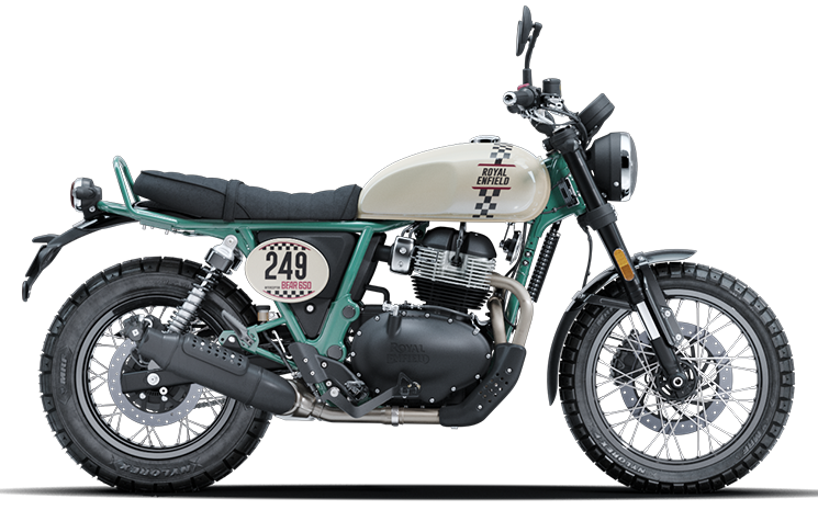 New bear650