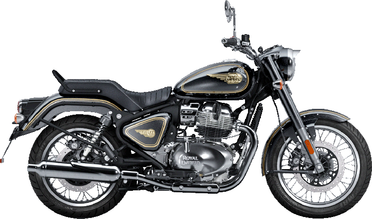 bear650